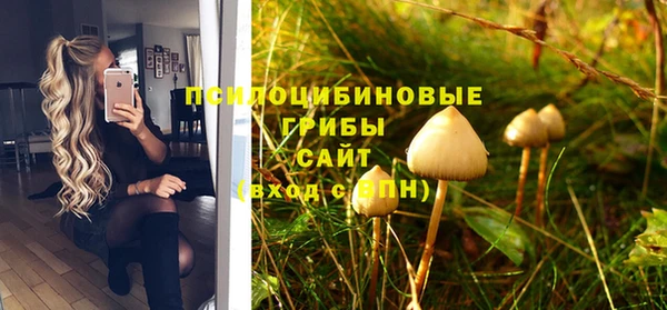 мдма Дмитриев