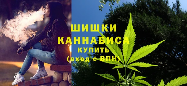 мдма Дмитриев