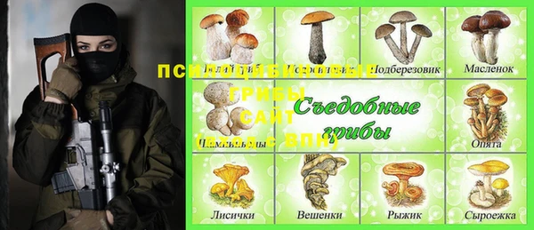 мдма Дмитриев