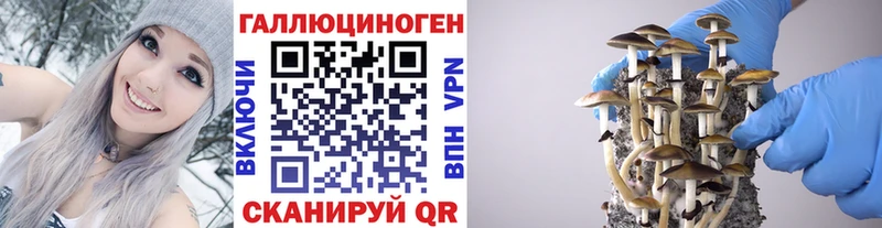 darknet состав  Усть-Лабинск  Галлюциногенные грибы мицелий 