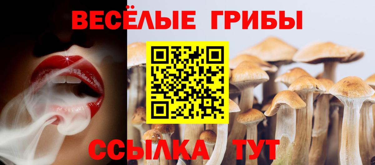 Усть-Лабинск  Галлюциногенные грибы мицелий  купить закладку  Галлюциногенные грибы Cubensis  Вход с VPN 